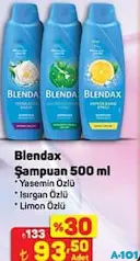 BLENDAX ŞAMPUAN 500 ML BLENDAX ŞAMPUAN 500 ML